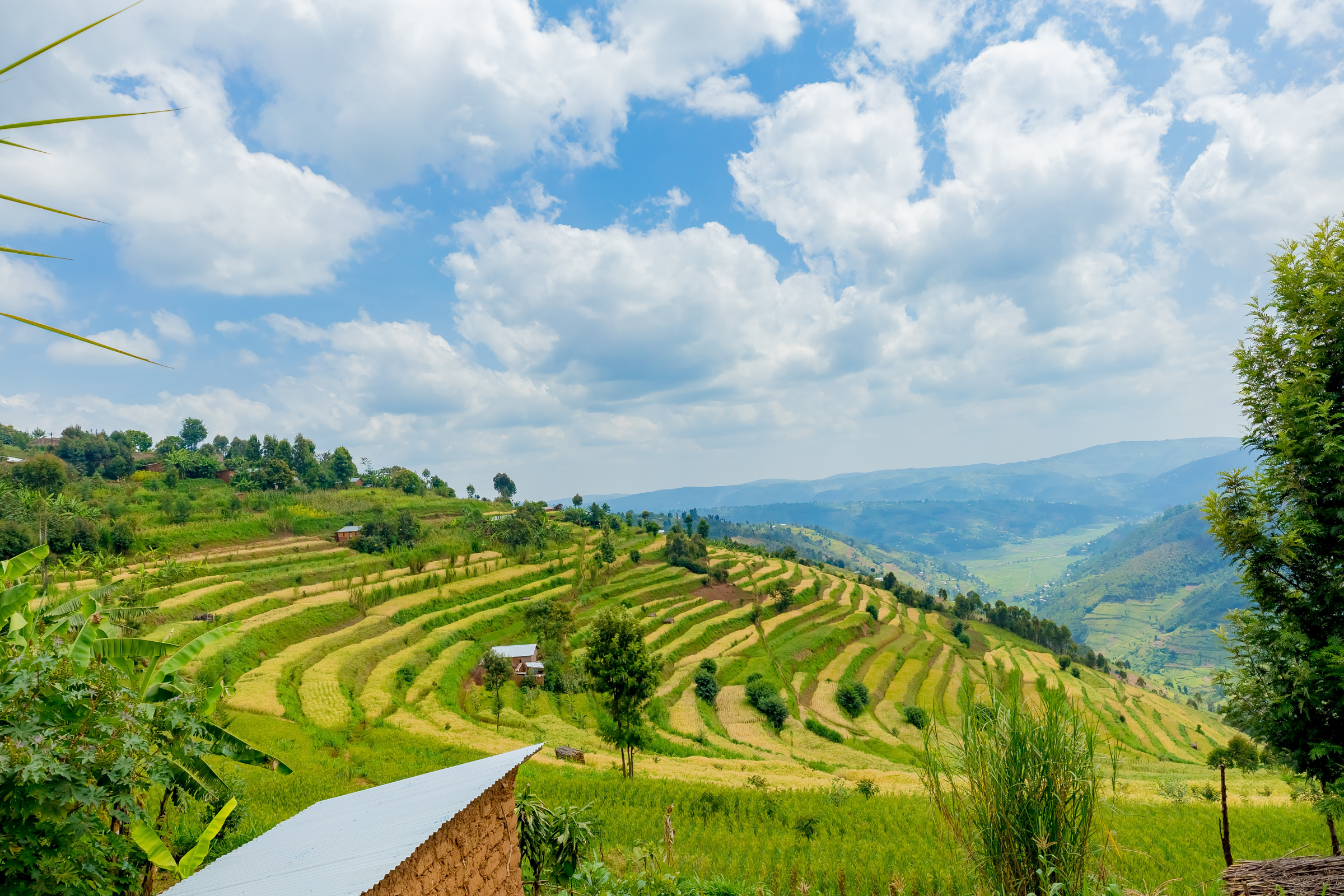 kigali (2).webp